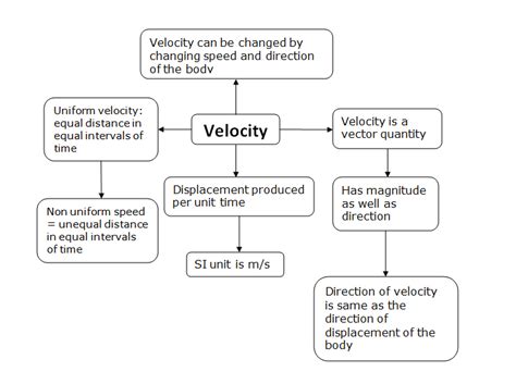 CBSE Class 9 Physics Speed and Velocity.